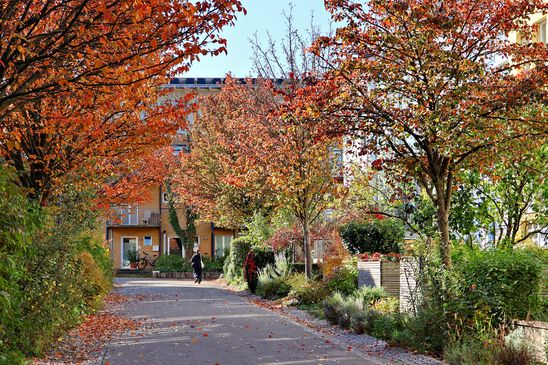 Der Herbst zeigte sich von seiner schönsten Seite
