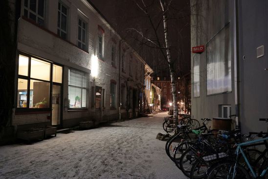 Trotz eiskaltem Wetter haben sich viele Vereinsmitglieder ins Gundeldinger Feld aufgemacht.