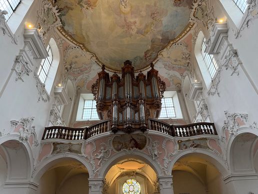 Die Silbermann-Orgel