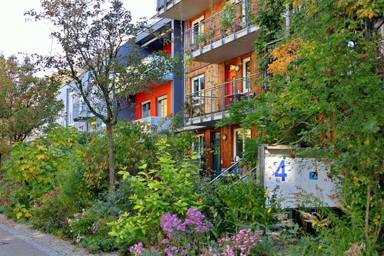 Naturnahe Bepflanzung statt Steinvorgärten