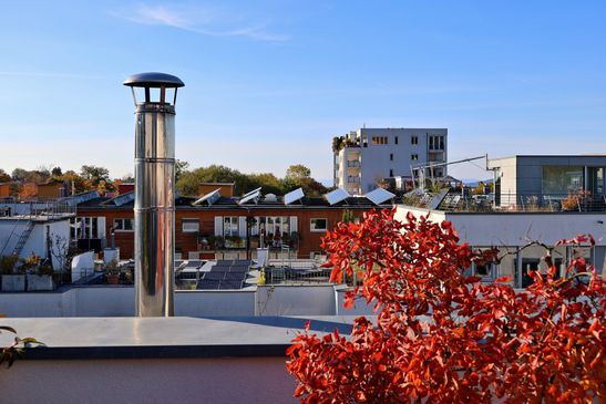 Über den Dächern von Freiburg