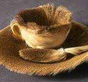 unknown-1